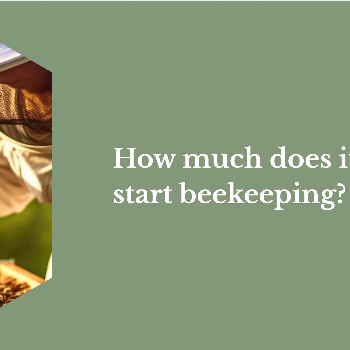 How much does it cost to start beekeeping? Hiveology