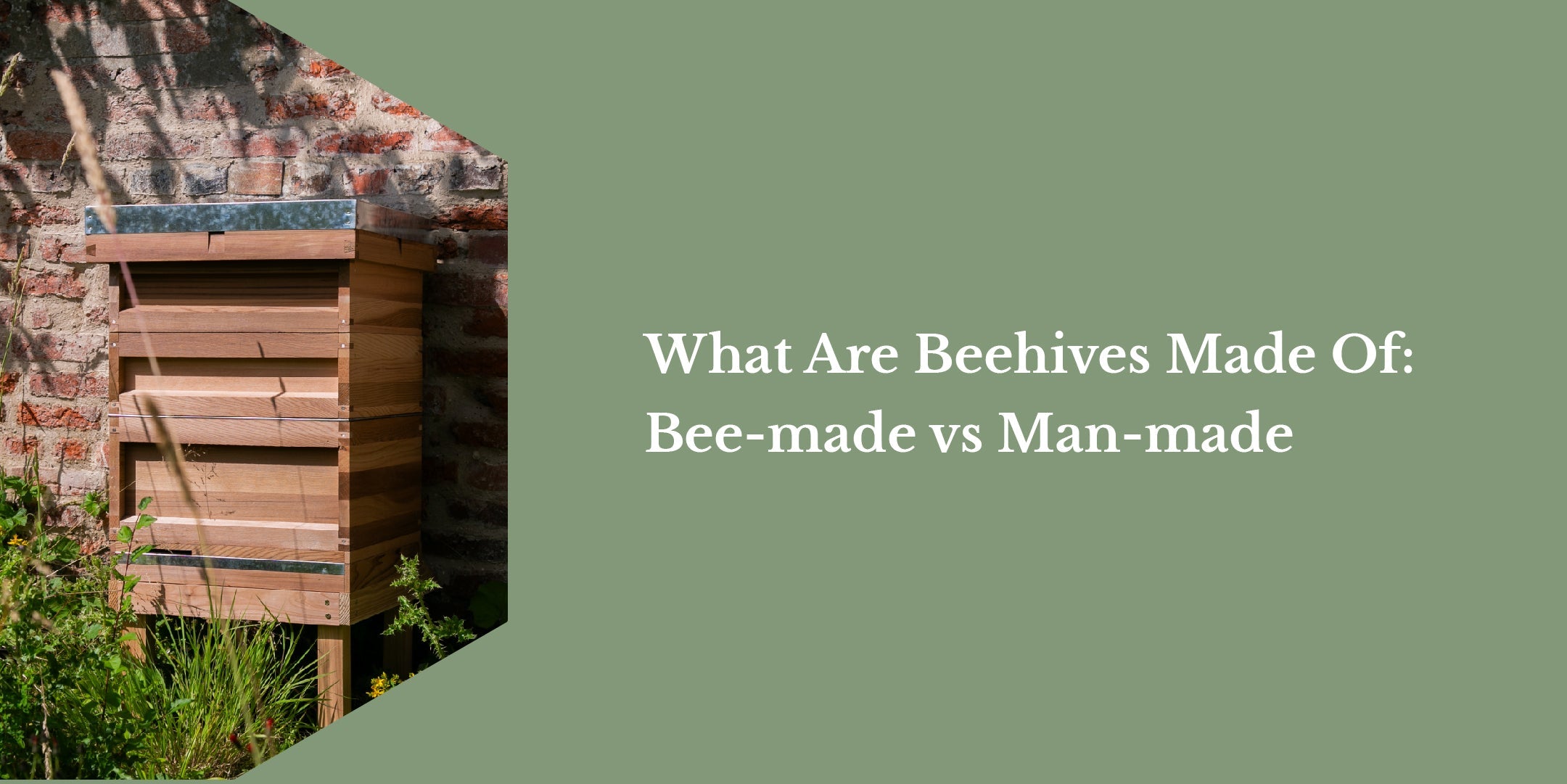 What Are Beehives Made Of: Bee-made  vs. Man-made
