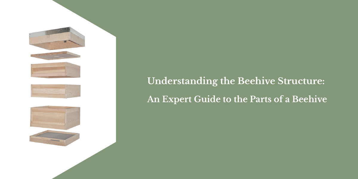 Examples Beehive Structure Understanding the Beehive Structure: An Expert Guide to the Parts of a ...