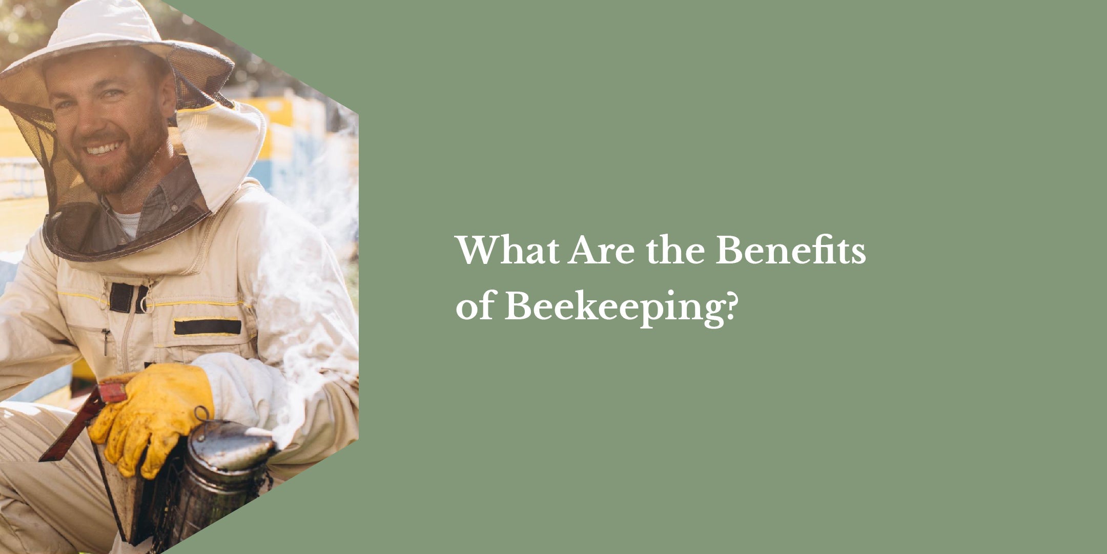 What are the Benefits of Beekeeping?