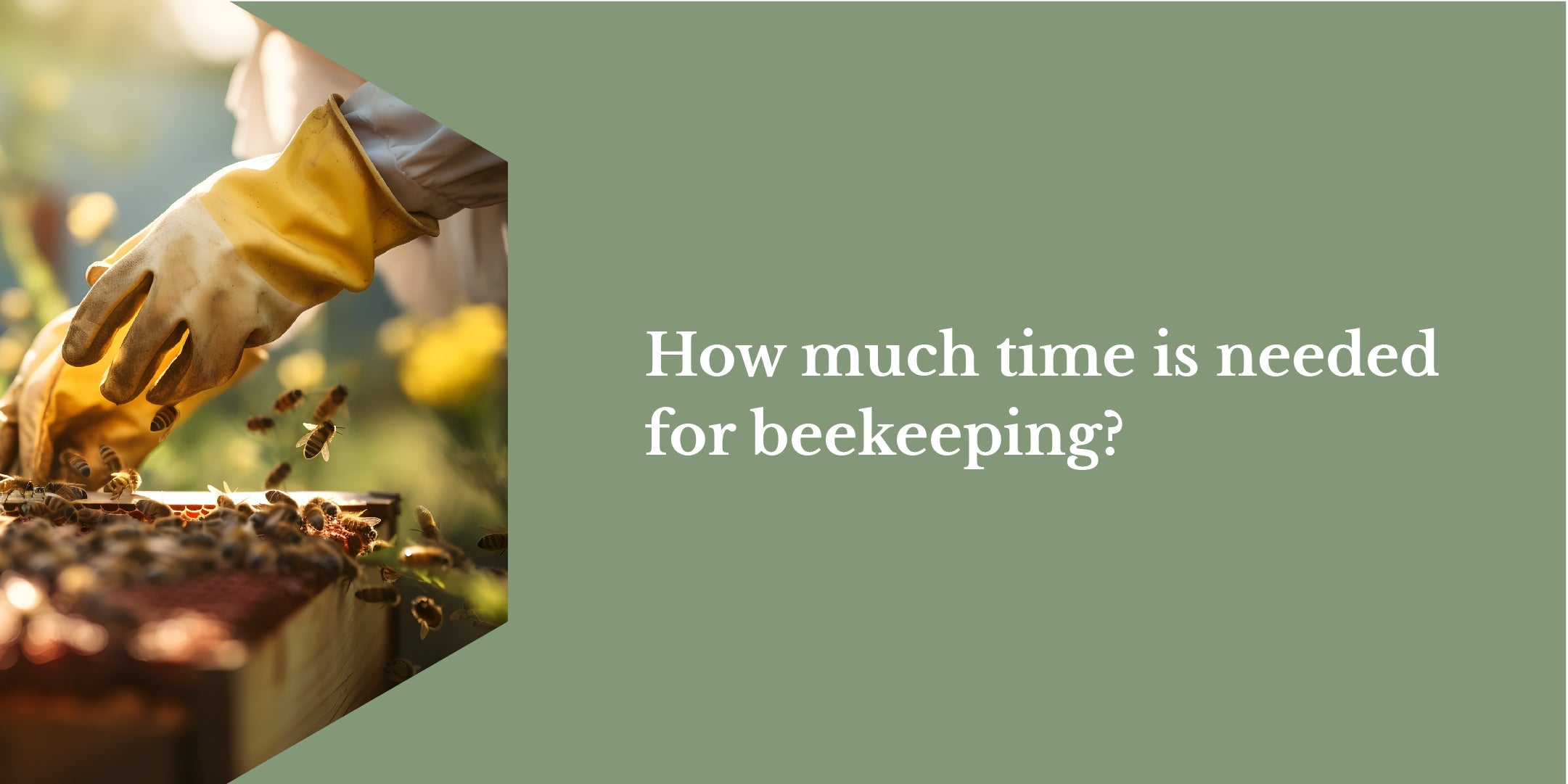 How much time is needed for beekeeping?