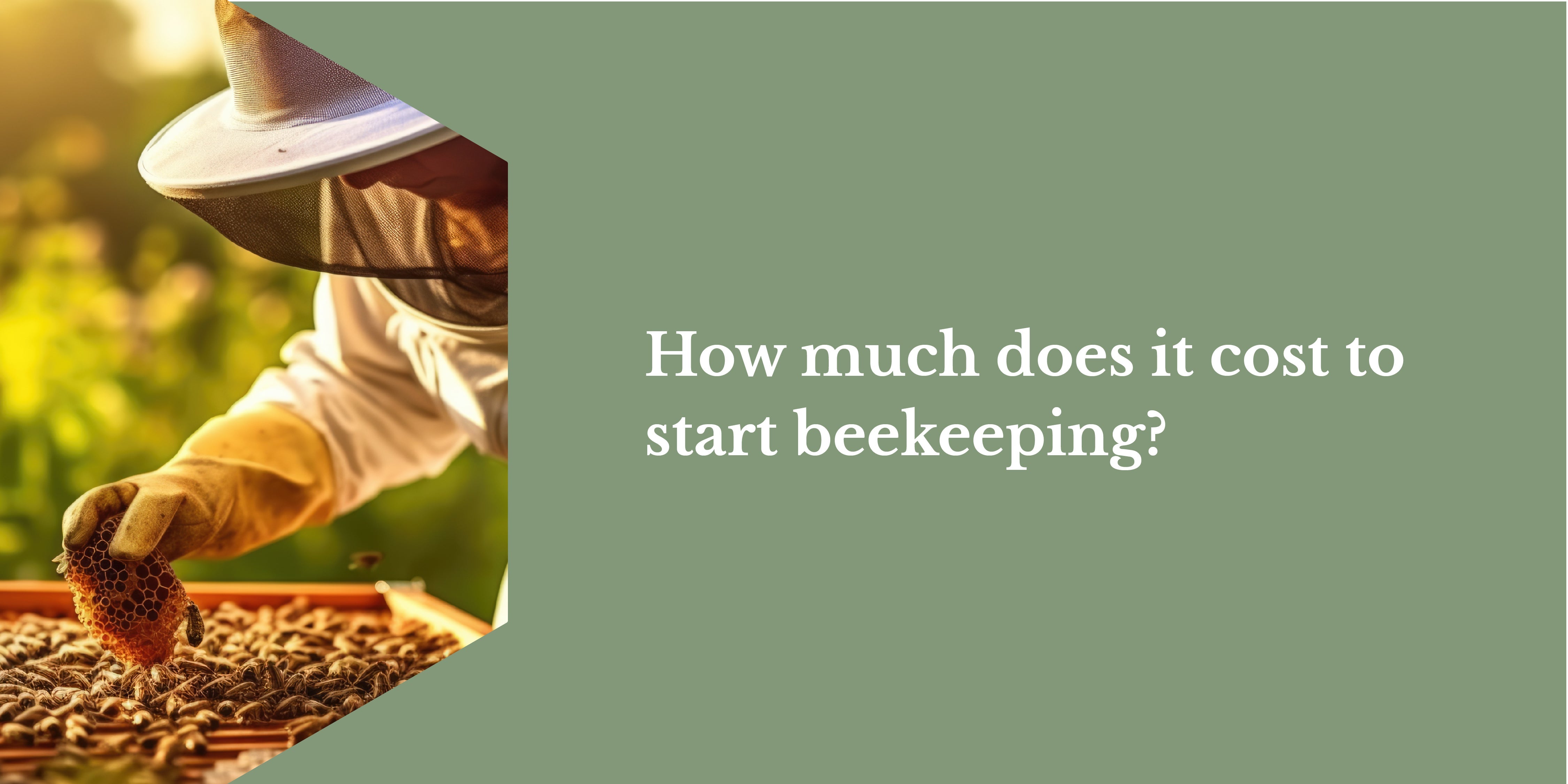 How much does it cost to start beekeeping?