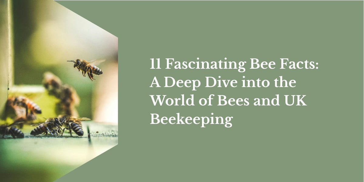Bee Knowledge 11 Fascinating Bee Facts: A Deep Dive into the World of Bees and UK Be ...