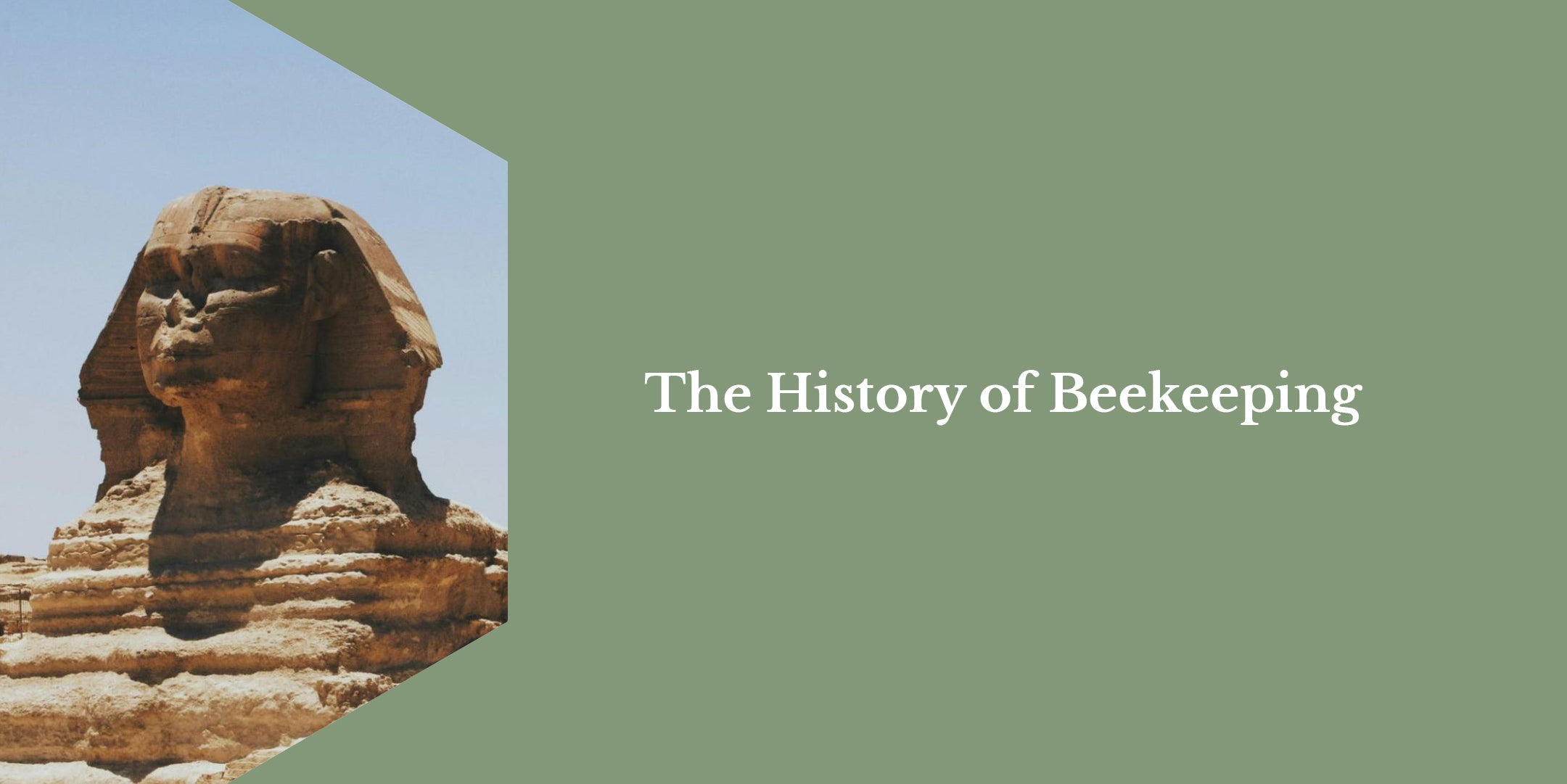 The History of Beekeeping