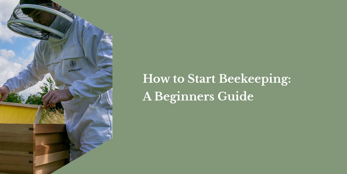 How to Start Beekeeping: A Beginners Guide – Hiveology