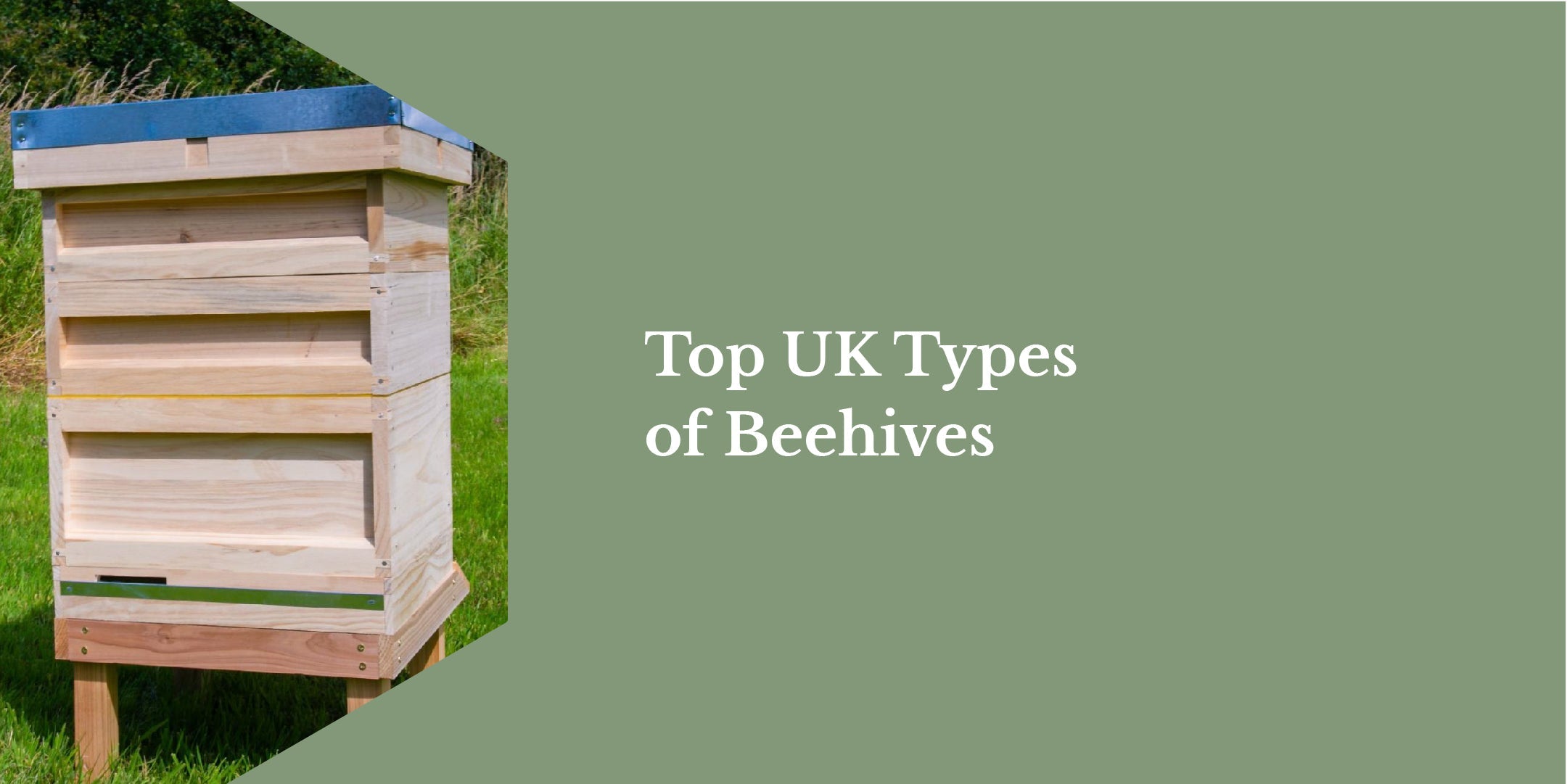 Top UK Types of Beehives