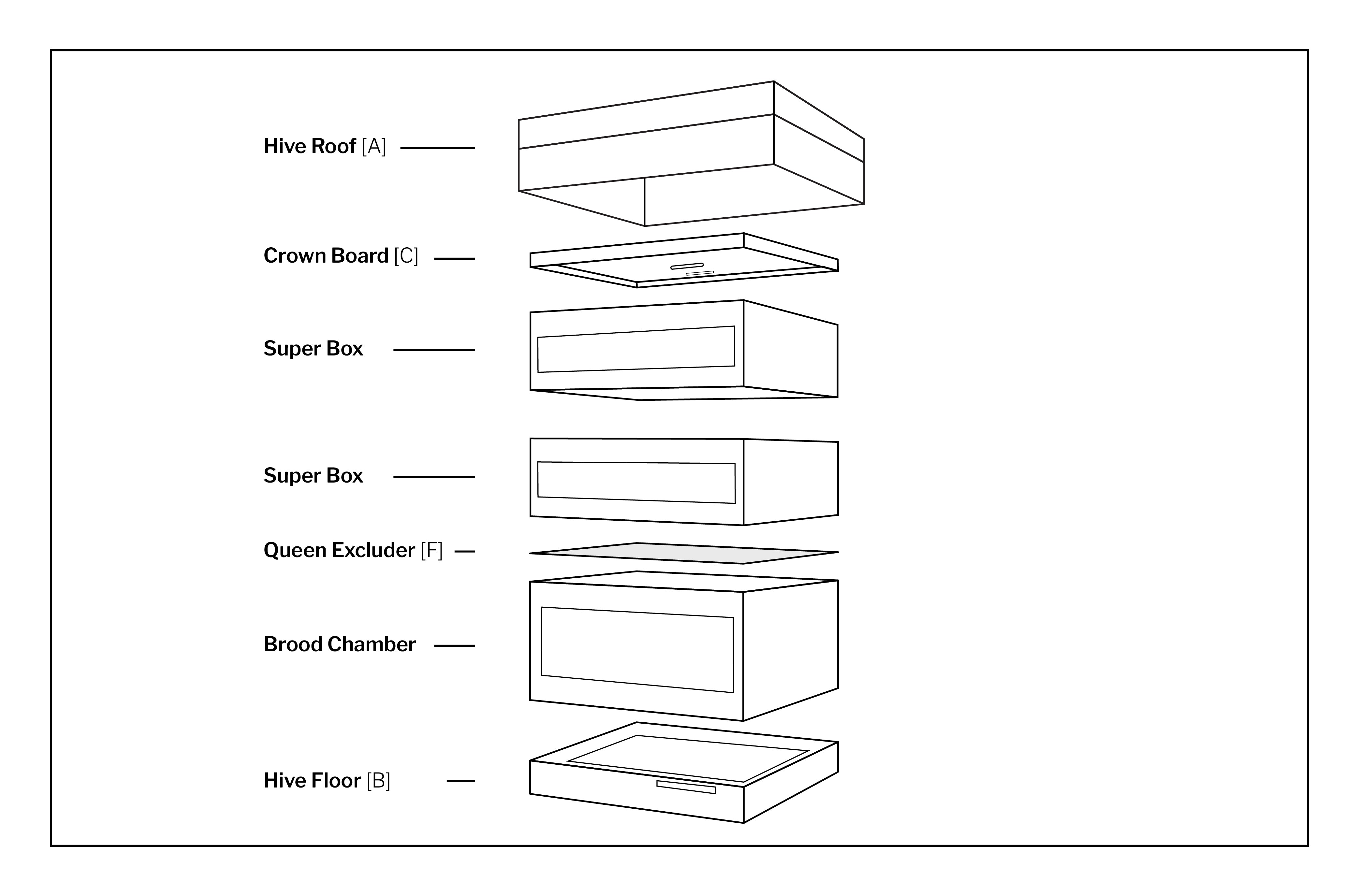 Instructions Hiveology Instructions Hiveology