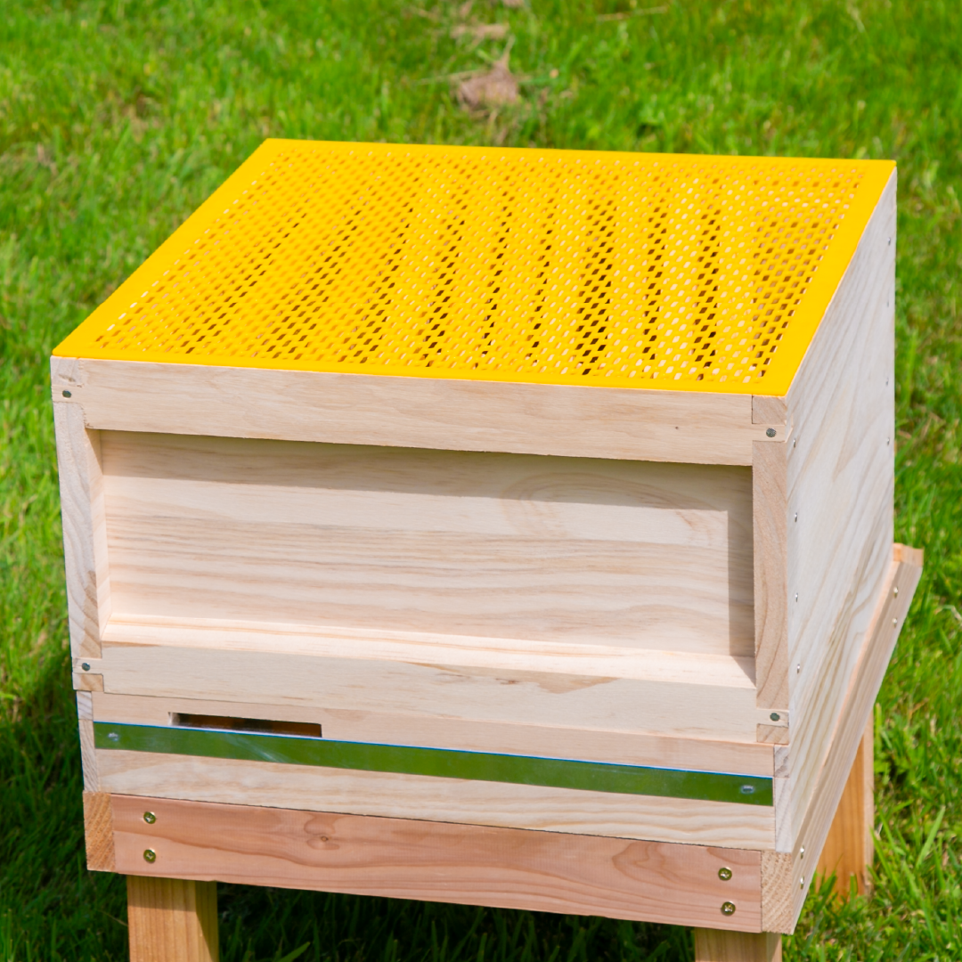 Hive Meaning In Marathi Great