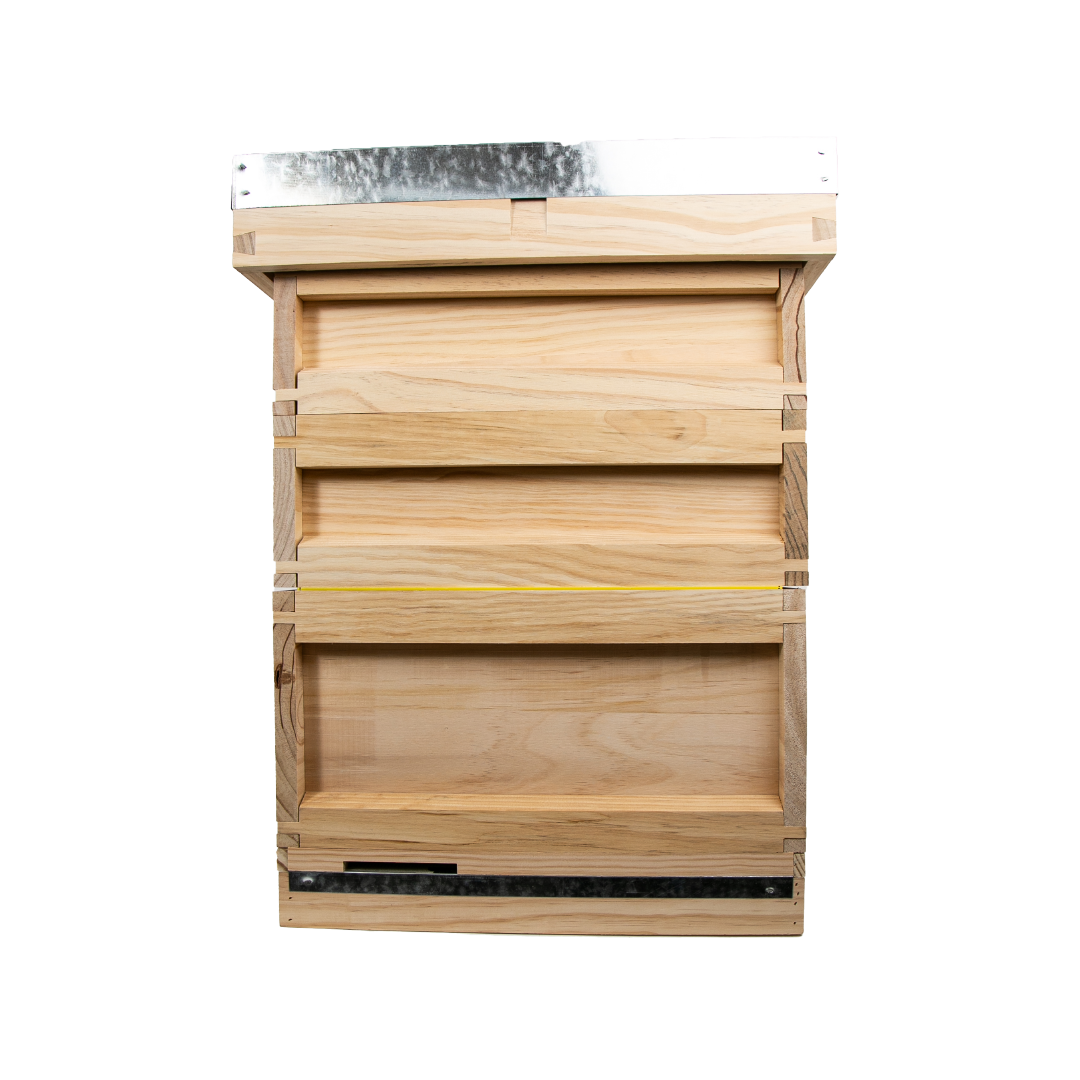 Hive Meaning In Marathi Great